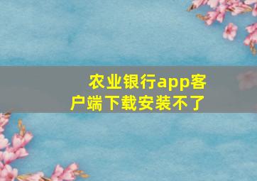 农业银行app客户端下载安装不了