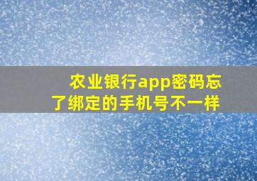 农业银行app密码忘了绑定的手机号不一样