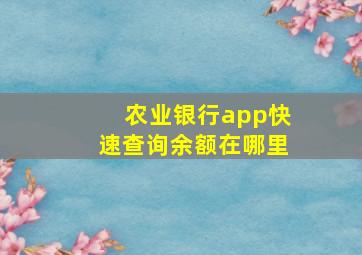 农业银行app快速查询余额在哪里