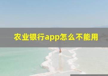 农业银行app怎么不能用