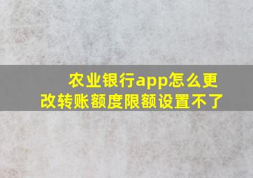 农业银行app怎么更改转账额度限额设置不了