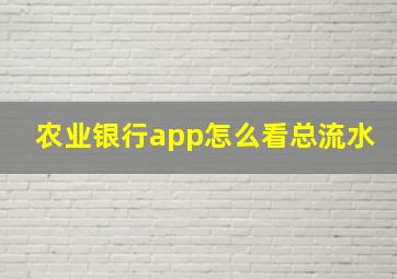 农业银行app怎么看总流水