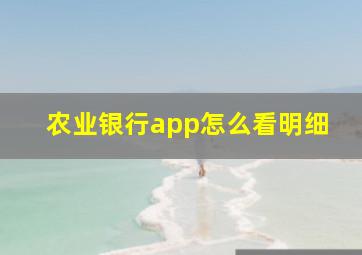 农业银行app怎么看明细