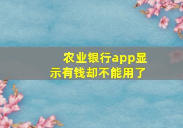 农业银行app显示有钱却不能用了