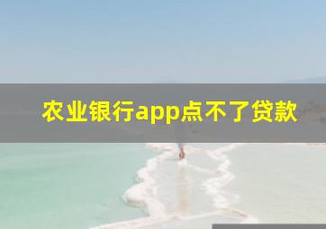 农业银行app点不了贷款