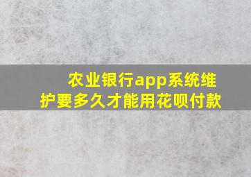 农业银行app系统维护要多久才能用花呗付款