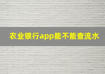 农业银行app能不能查流水