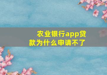 农业银行app贷款为什么申请不了