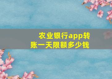 农业银行app转账一天限额多少钱