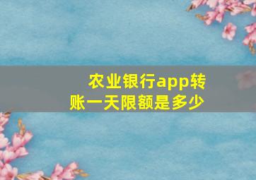 农业银行app转账一天限额是多少