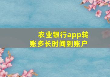 农业银行app转账多长时间到账户