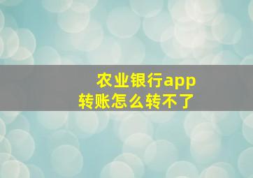 农业银行app转账怎么转不了