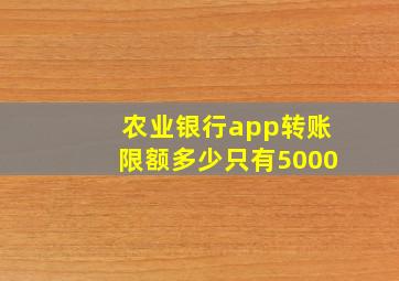 农业银行app转账限额多少只有5000