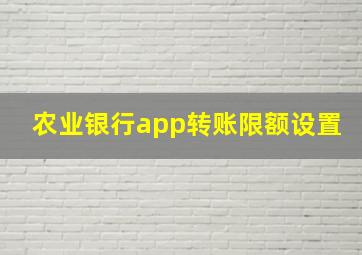 农业银行app转账限额设置