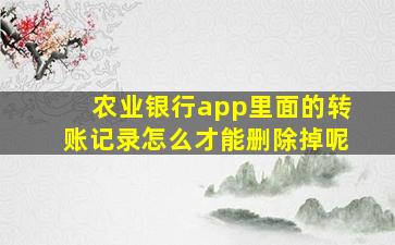 农业银行app里面的转账记录怎么才能删除掉呢