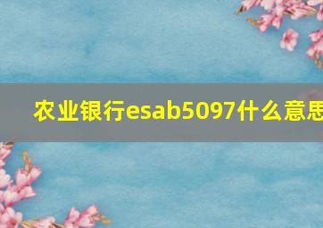 农业银行esab5097什么意思