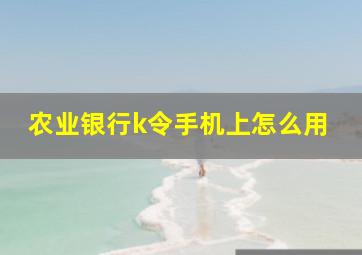 农业银行k令手机上怎么用