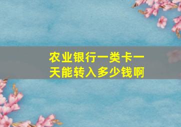 农业银行一类卡一天能转入多少钱啊