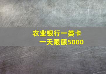 农业银行一类卡一天限额5000