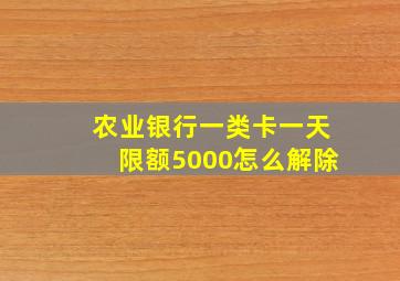 农业银行一类卡一天限额5000怎么解除