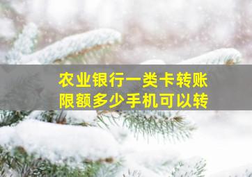 农业银行一类卡转账限额多少手机可以转