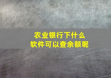 农业银行下什么软件可以查余额呢