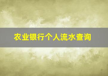 农业银行个人流水查询