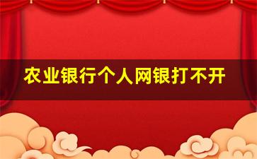 农业银行个人网银打不开