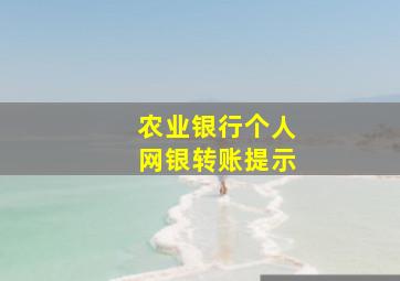 农业银行个人网银转账提示