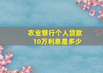 农业银行个人贷款10万利息是多少