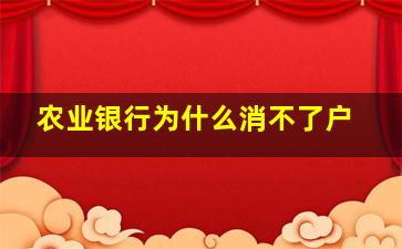 农业银行为什么消不了户