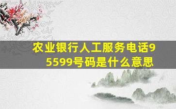 农业银行人工服务电话95599号码是什么意思