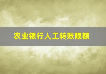 农业银行人工转账限额