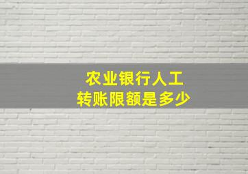 农业银行人工转账限额是多少