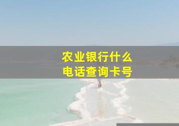 农业银行什么电话查询卡号