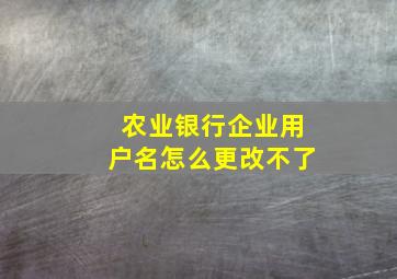 农业银行企业用户名怎么更改不了