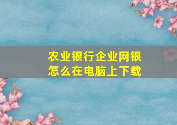 农业银行企业网银怎么在电脑上下载