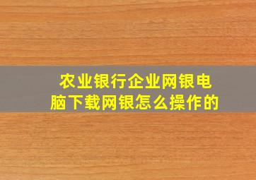 农业银行企业网银电脑下载网银怎么操作的