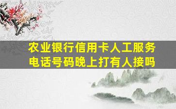 农业银行信用卡人工服务电话号码晚上打有人接吗