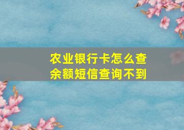 农业银行卡怎么查余额短信查询不到