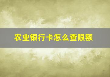 农业银行卡怎么查限额