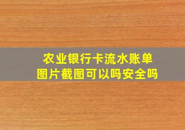 农业银行卡流水账单图片截图可以吗安全吗