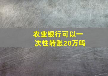 农业银行可以一次性转账20万吗