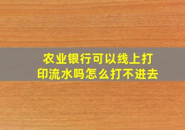 农业银行可以线上打印流水吗怎么打不进去