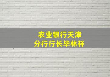 农业银行天津分行行长毕林祥