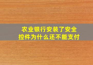 农业银行安装了安全控件为什么还不能支付