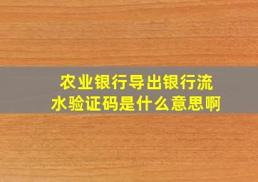 农业银行导出银行流水验证码是什么意思啊