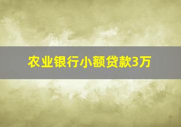 农业银行小额贷款3万