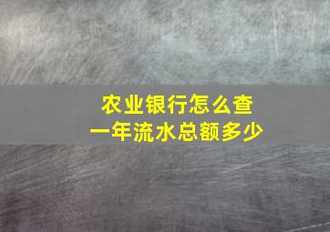 农业银行怎么查一年流水总额多少