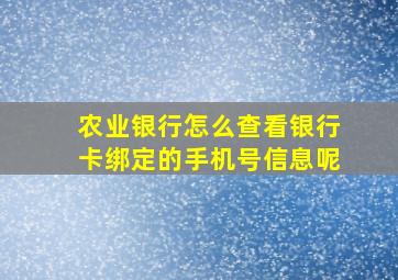 农业银行怎么查看银行卡绑定的手机号信息呢